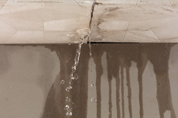 Professional Water Damage Repair technician working in Chickasaw, OH